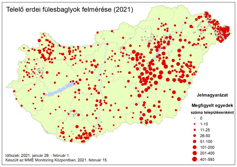 erdei_fulesbagoly_teli_szinkron_2021_orszagos_terkep_mme_monitoring_kozpont